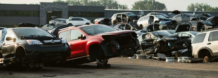 Dismantled cars in a salvage yard.